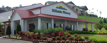 Hillside Winery