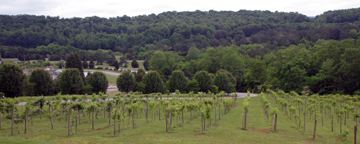 Tennessee Valley Winery