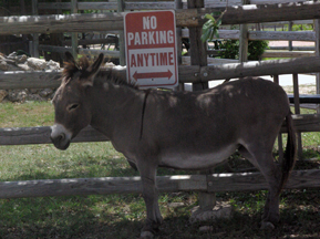 Chisholm Trail Winery