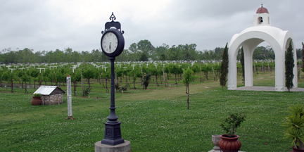 Haak Vineyards & Winery