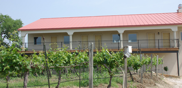 Lost Creek Vineyard