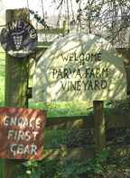 Parva Farm Vineyard