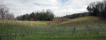 Amrhein Wine Cellars