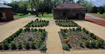 Annefield Vineyards