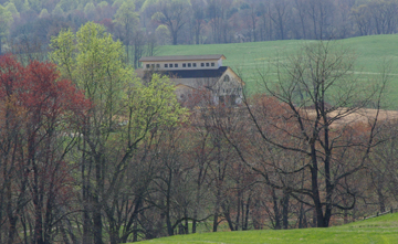 Barrel Oak Winery