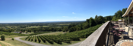 Bluemont Vineyard