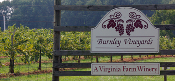 Burnley Vineyards