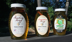 Haley's Honey Meadery