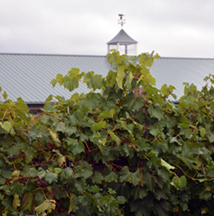 The Winery at Kindred Pointe