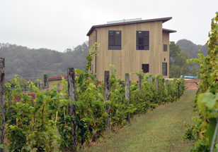 Muse Vineyard