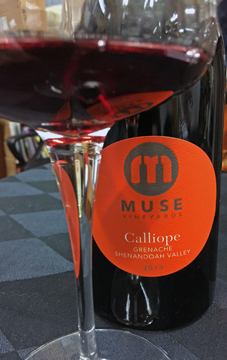 Muse Vineyard