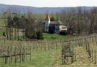 North Mountain  Vineyard and Winery