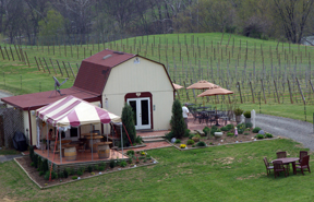 Three Fox Vineyards