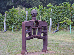 Turk Mountain Vineyards