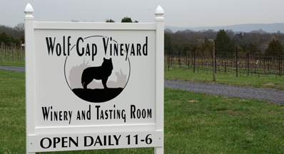 Wolf Gap Vineyard