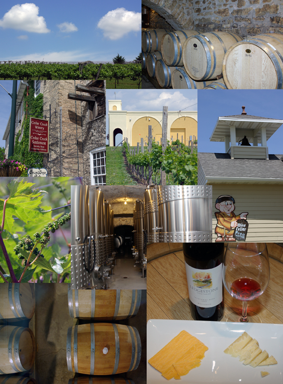 Wisconsin Wineries and Vineyards