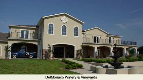 DelMonaco Winery and Vineyards