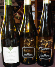 Ferrante Winery
