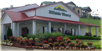 Hillside Winery