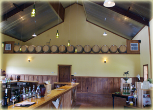 Rancho Ponte Vineyard