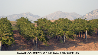 Temecula Valley Quality Wine Alliance