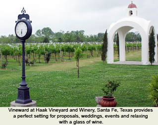 Bonaquisti Winery