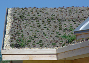 Green Tasting Room