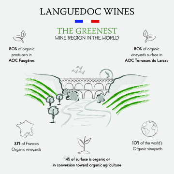 Languedoc: Home of Eco-Friendly Wines