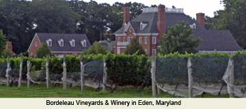 Maryland Wineries