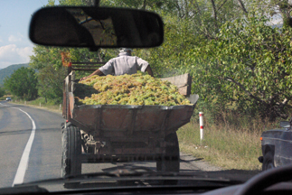 Driving to wineries