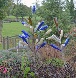 White Oak Lavendar Farm